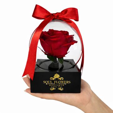 DOMO BABY - imagen 1