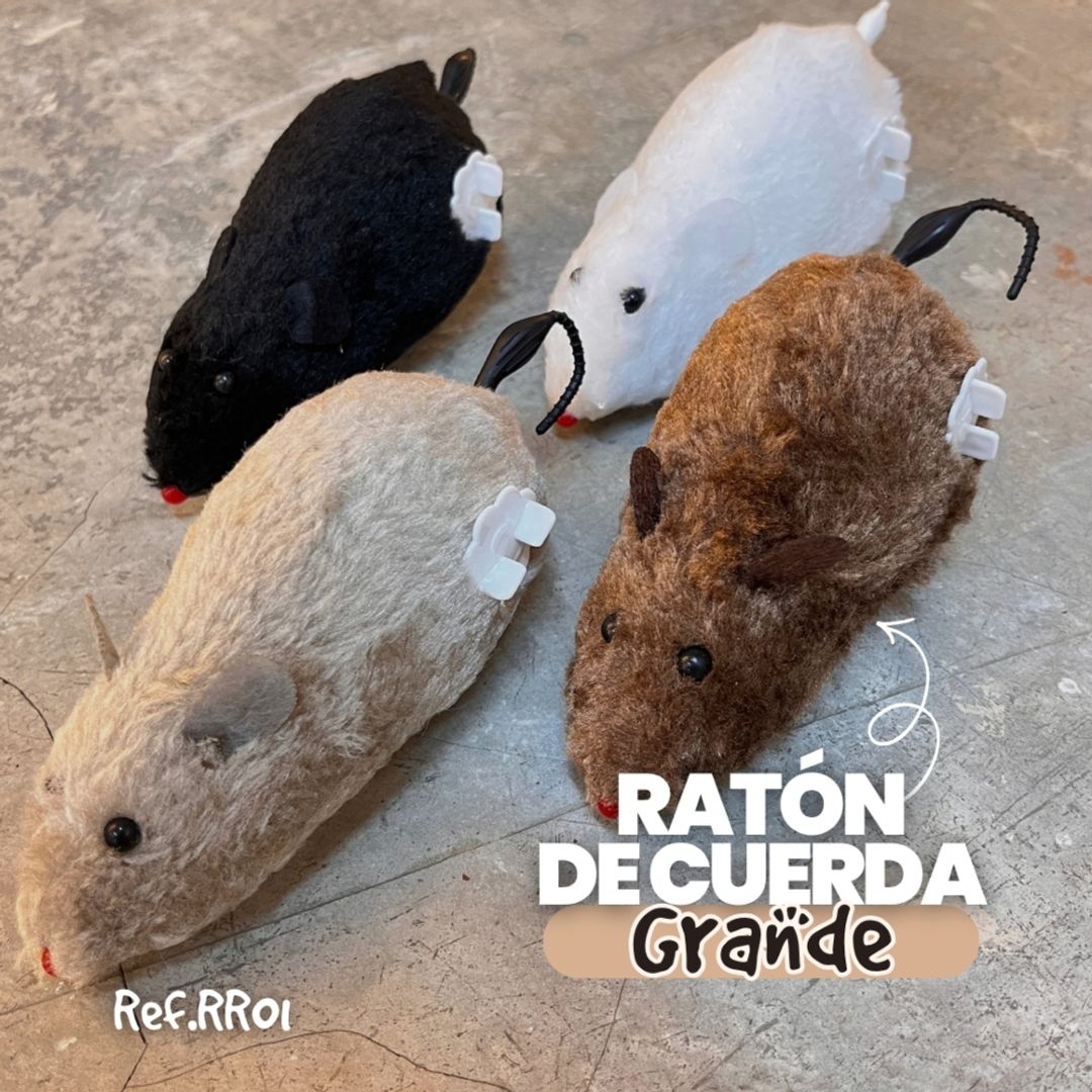 RR01