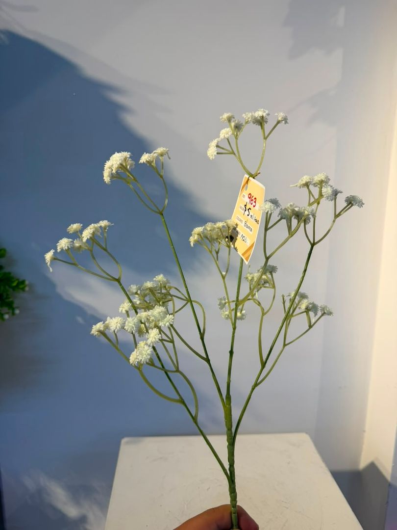 GIPSO EN VARA BLANCA
