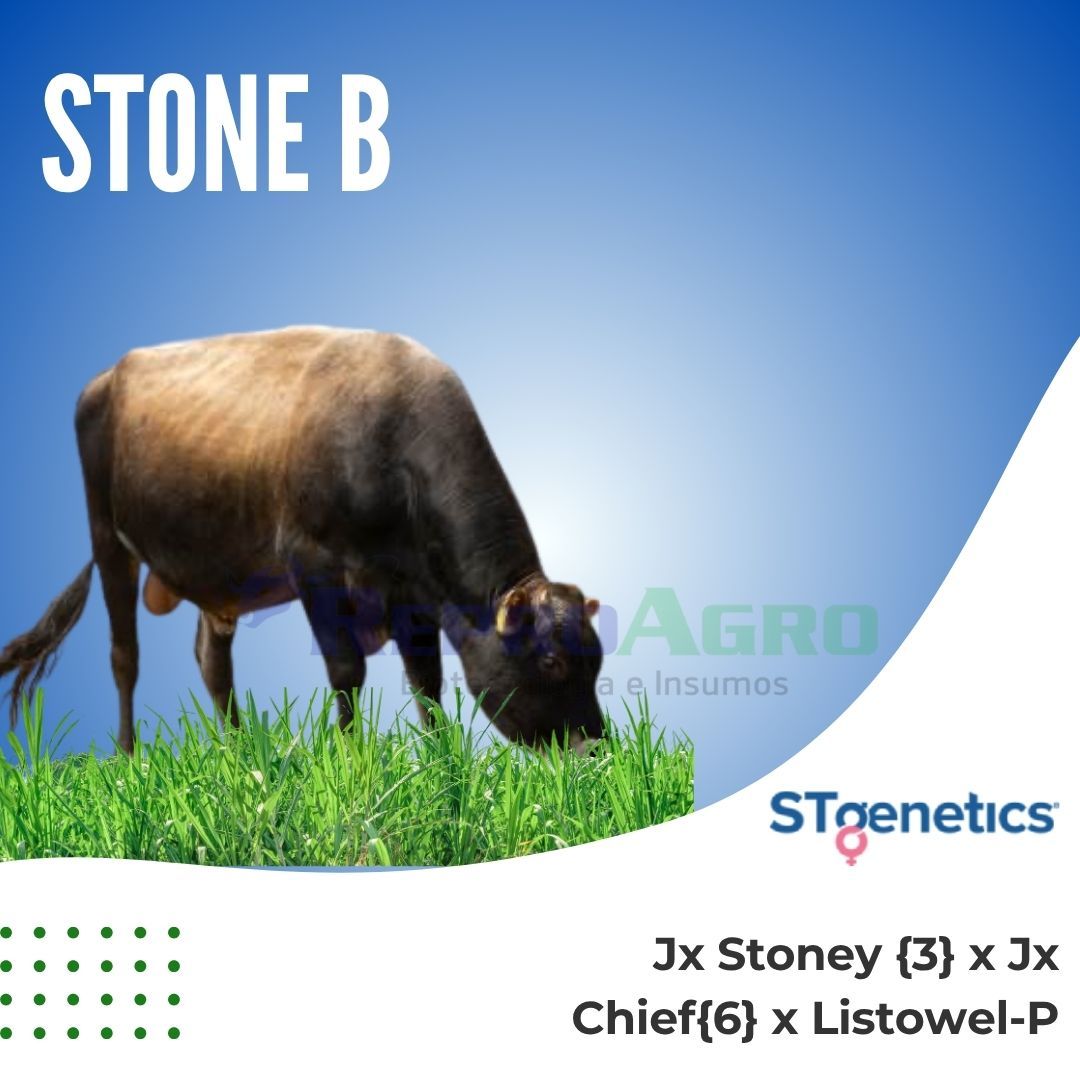 STONE B