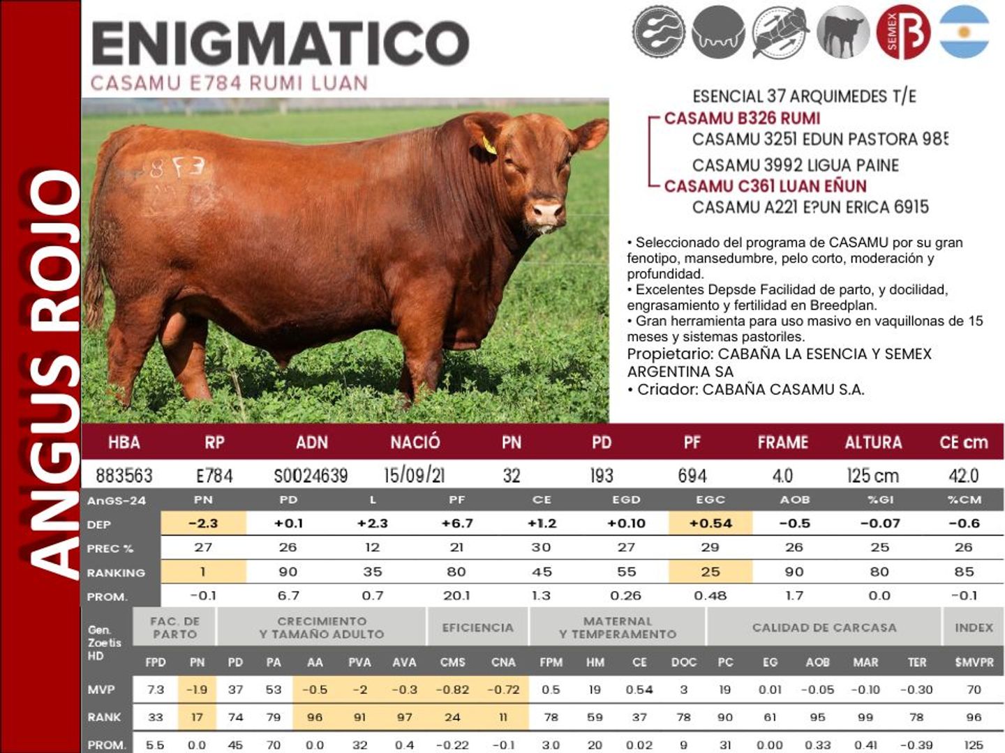 ENIGMATICO
