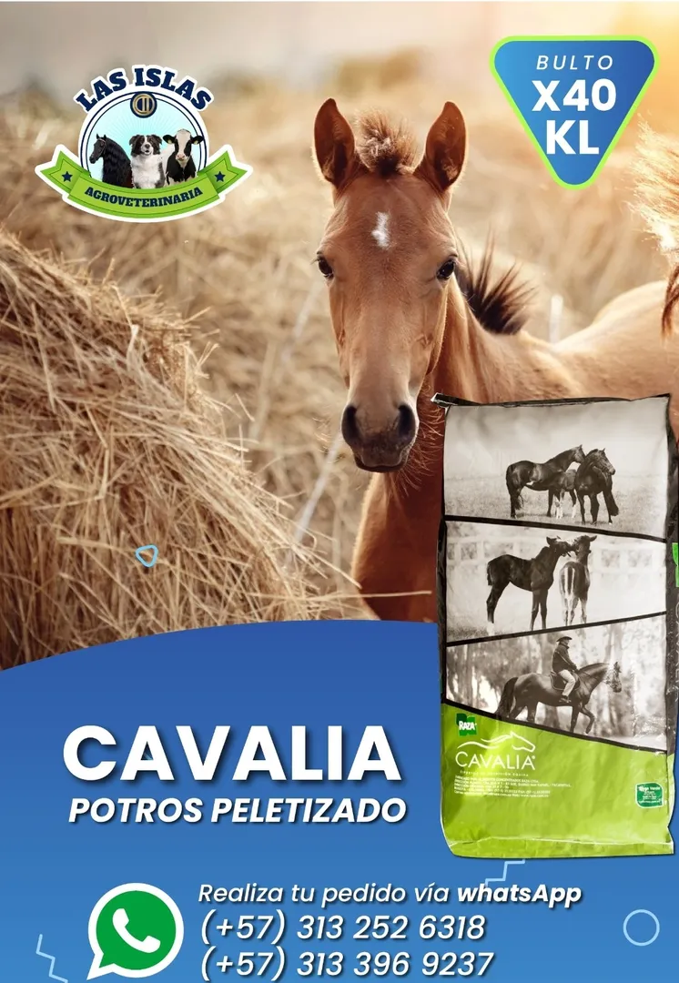 CAVALIA POTROS  x 40 Kilos