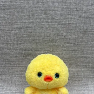 Imagen del producto POLLITO 20 CM