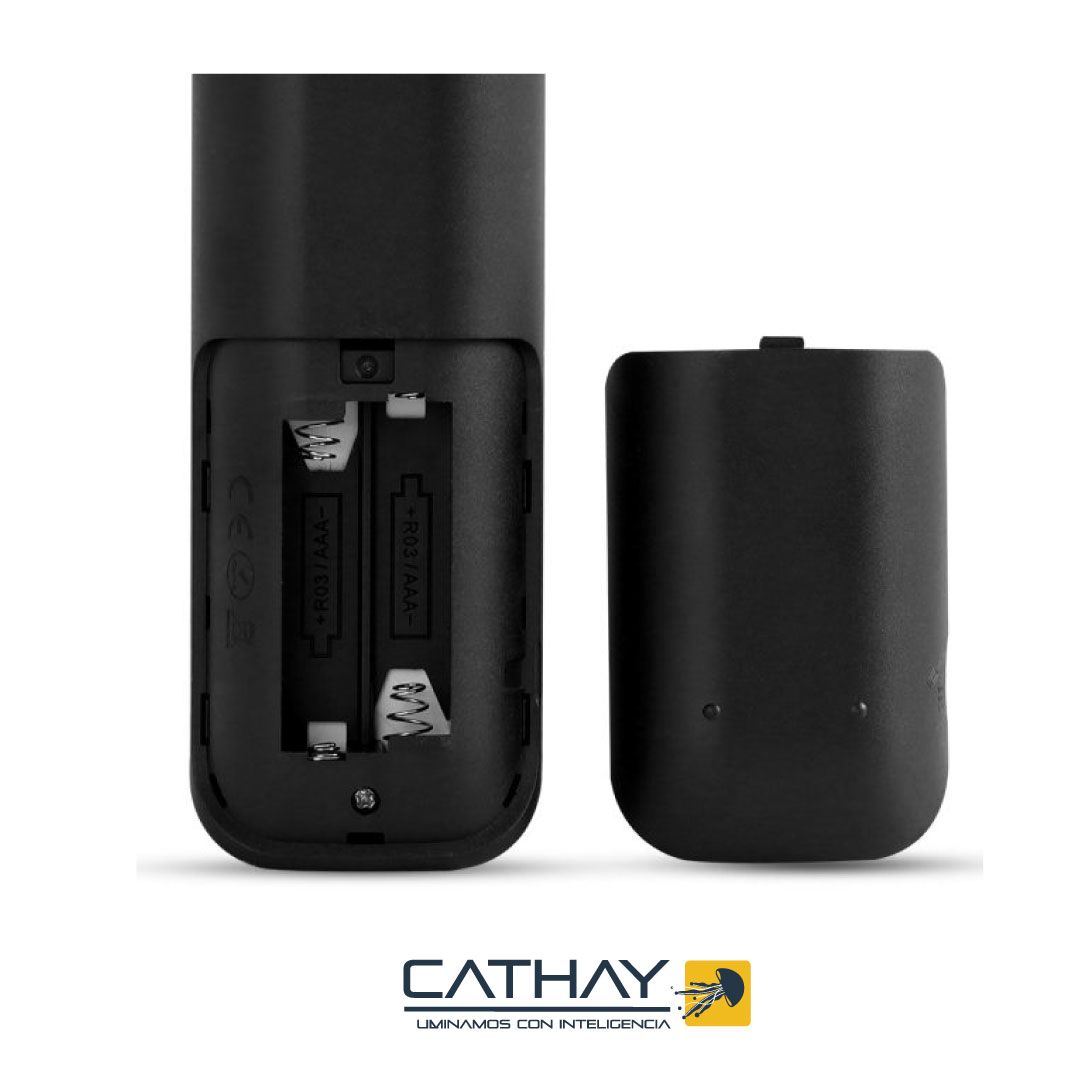 CONTROL REMOTO 8 ZONAS NEGRO 