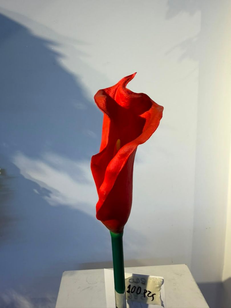 CARTUCHO EN ESPUMADO ROJO