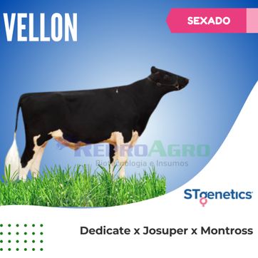 VELLON SEXADO - imagen 1