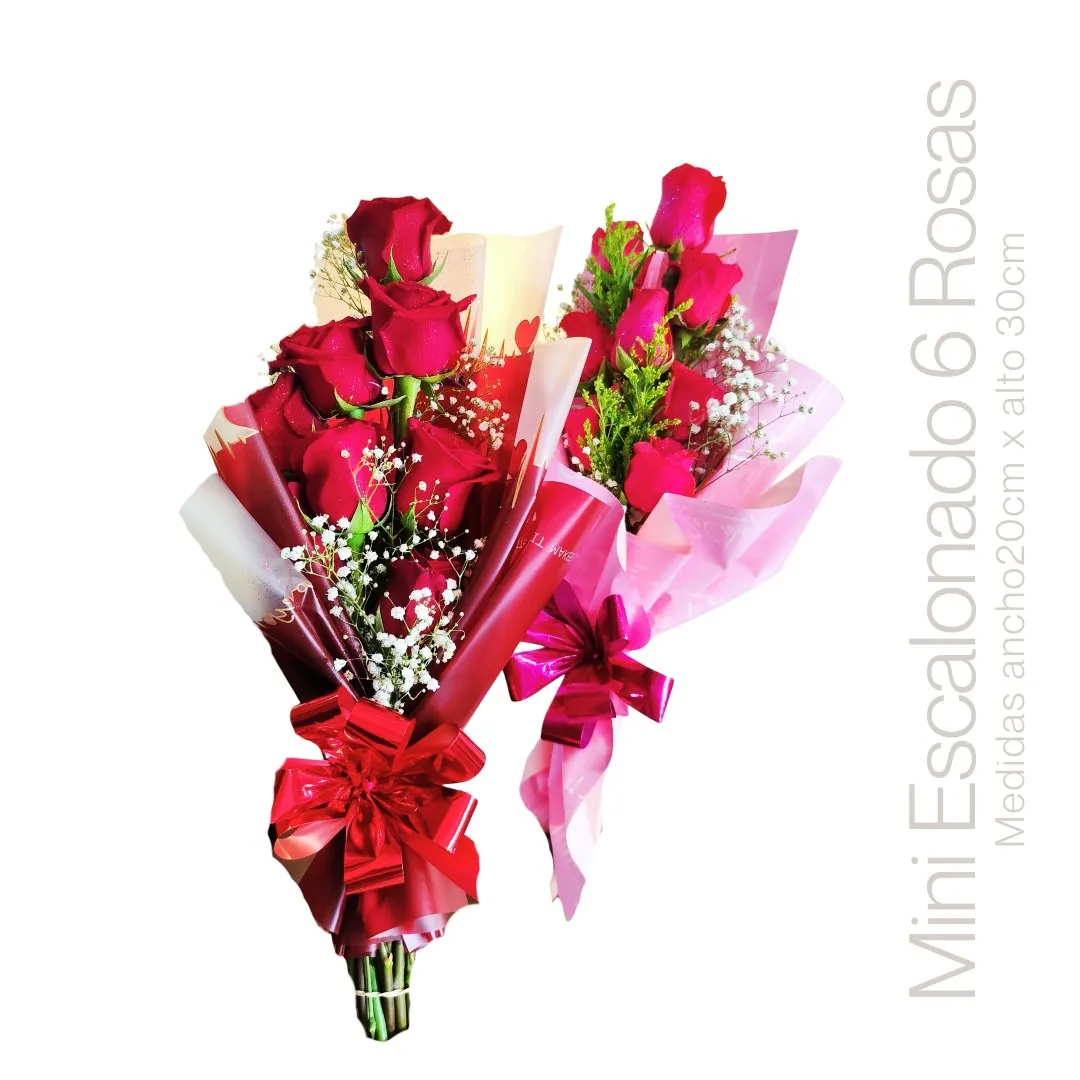 MINI ESCALONADO 6 ROSAS