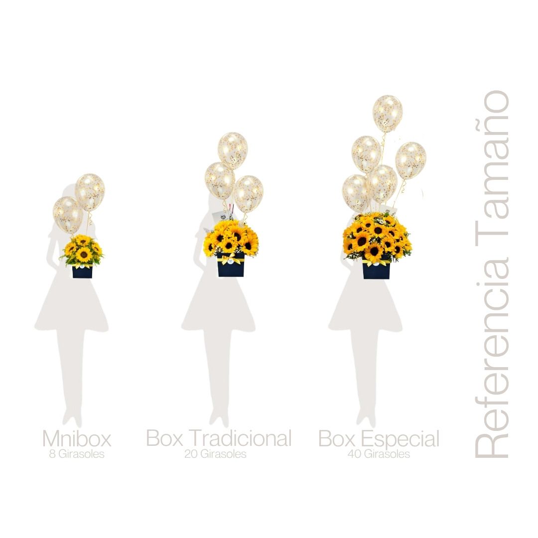 BOX ESPECIAL GIRASOLES 