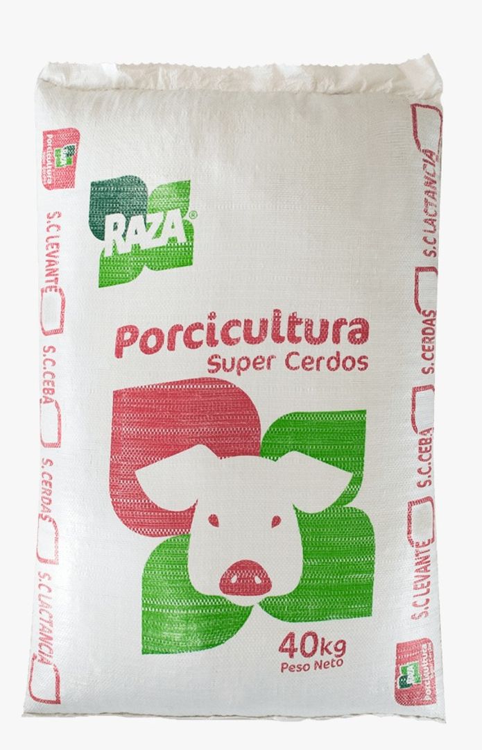 INICIACION CERDO NUEVA RAZA