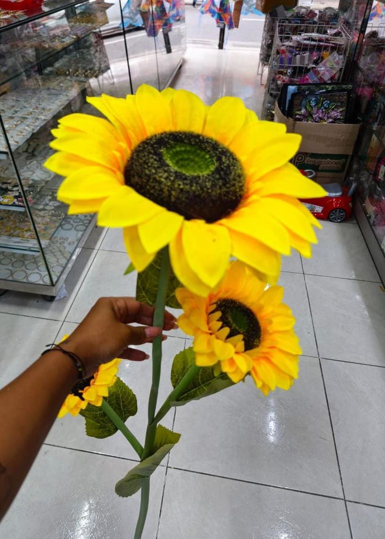 GIRASOL TALLO LARGO X 3 PM282