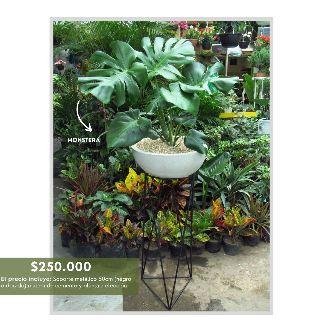 PROMO ARMA TU COMBO SOPORTES  