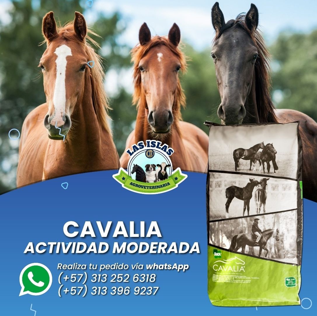 CAVALIA ACTIVIDAD MODERADA x 40 Kilos