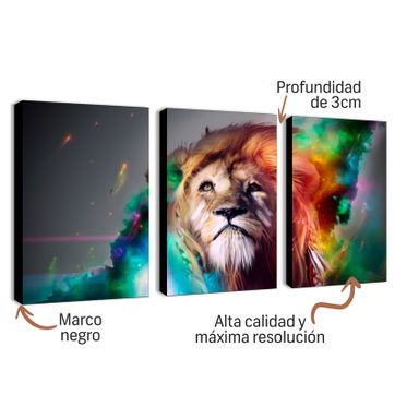 Imagen del producto DIVERSO  007