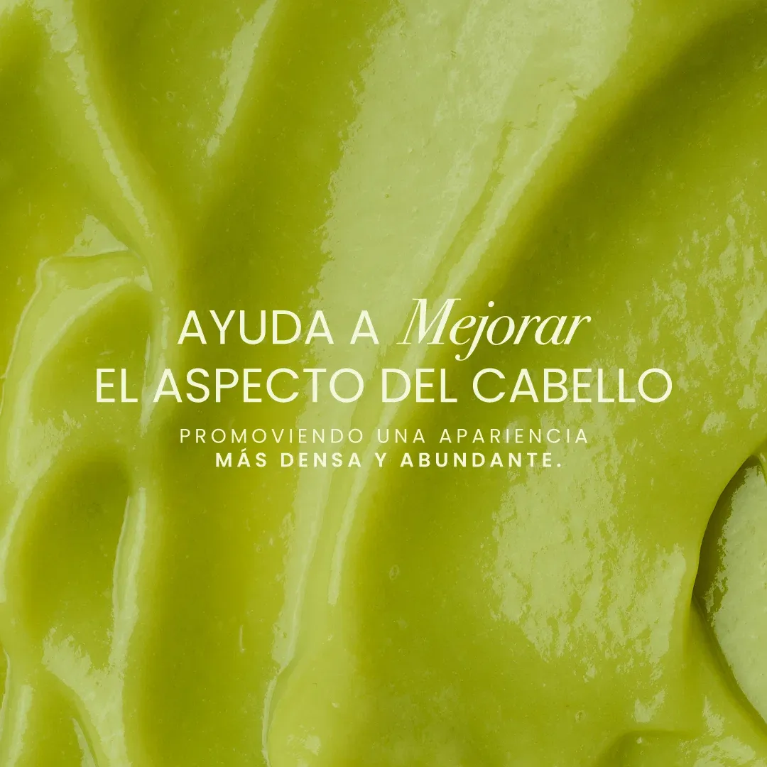 Shampoo con aguacate 