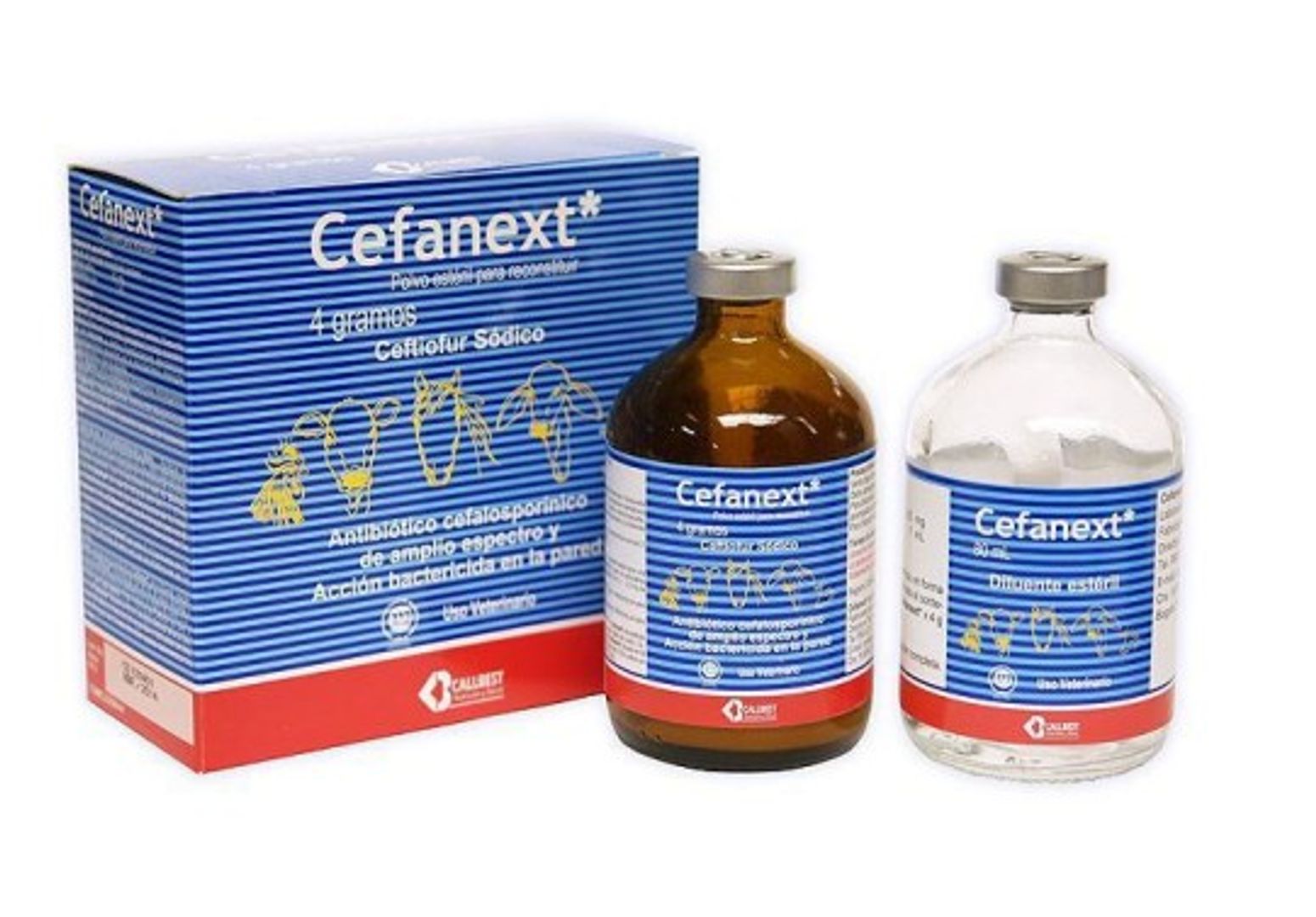 CEFANEXT 