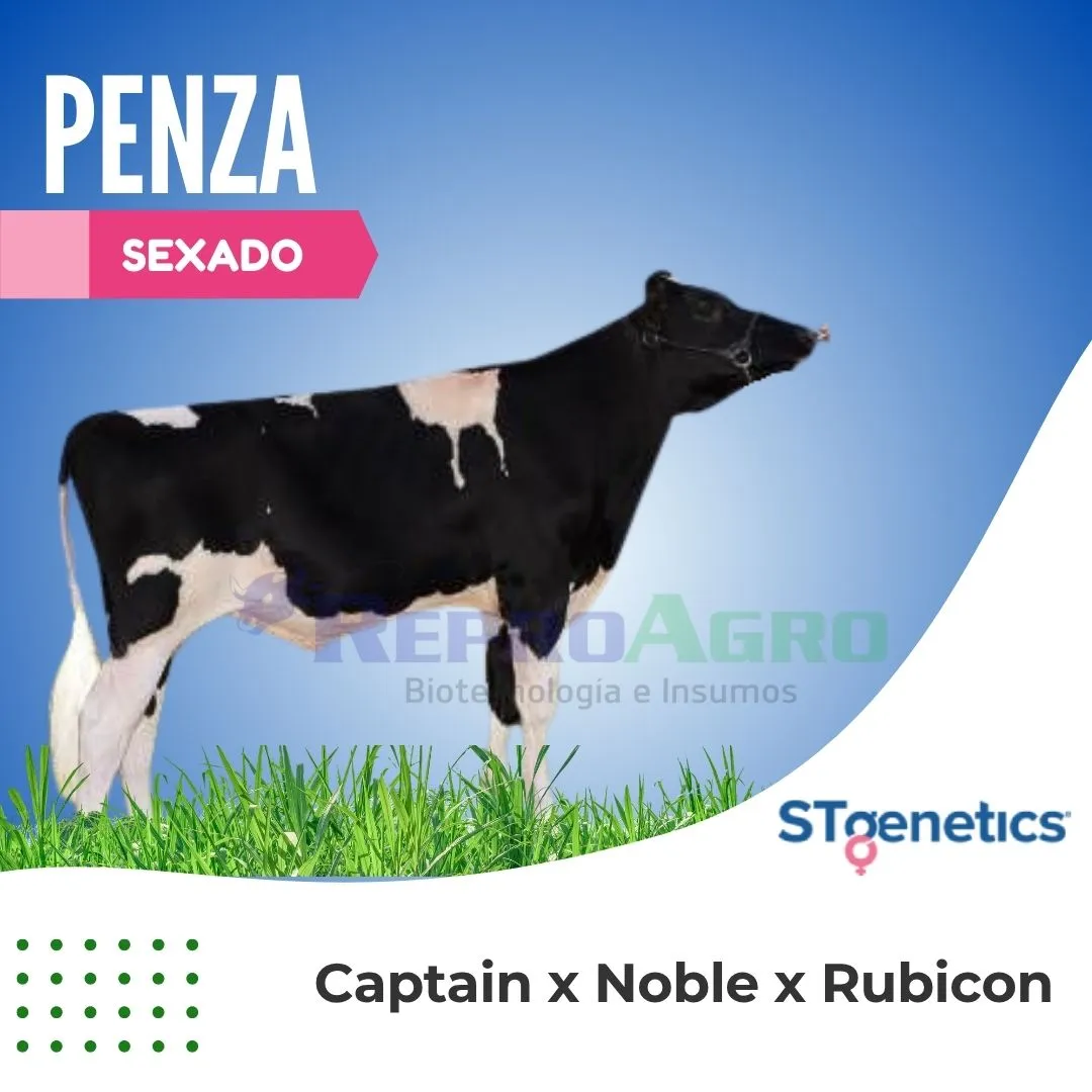 PENZA SEXADO