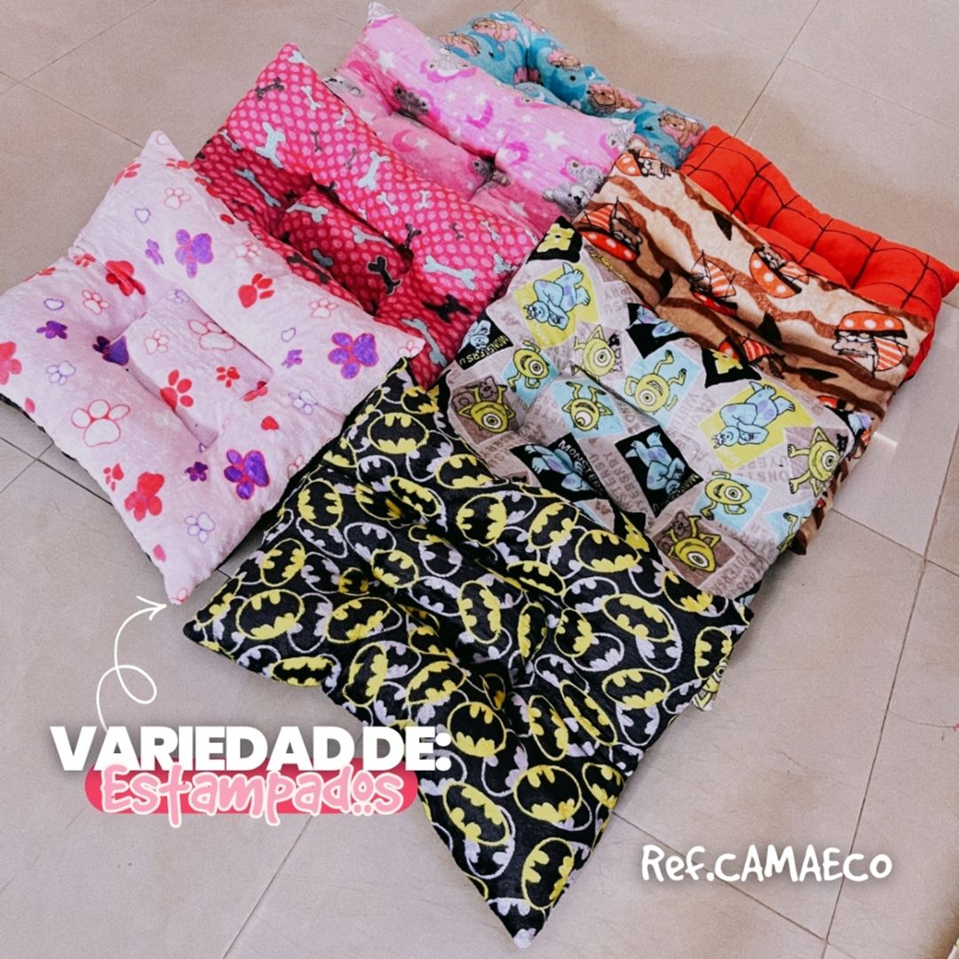 CAMAECO