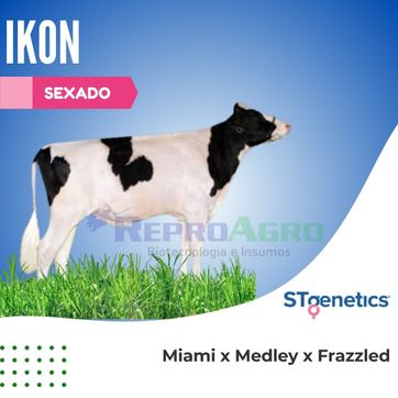 IKON SEXADO - imagen 1