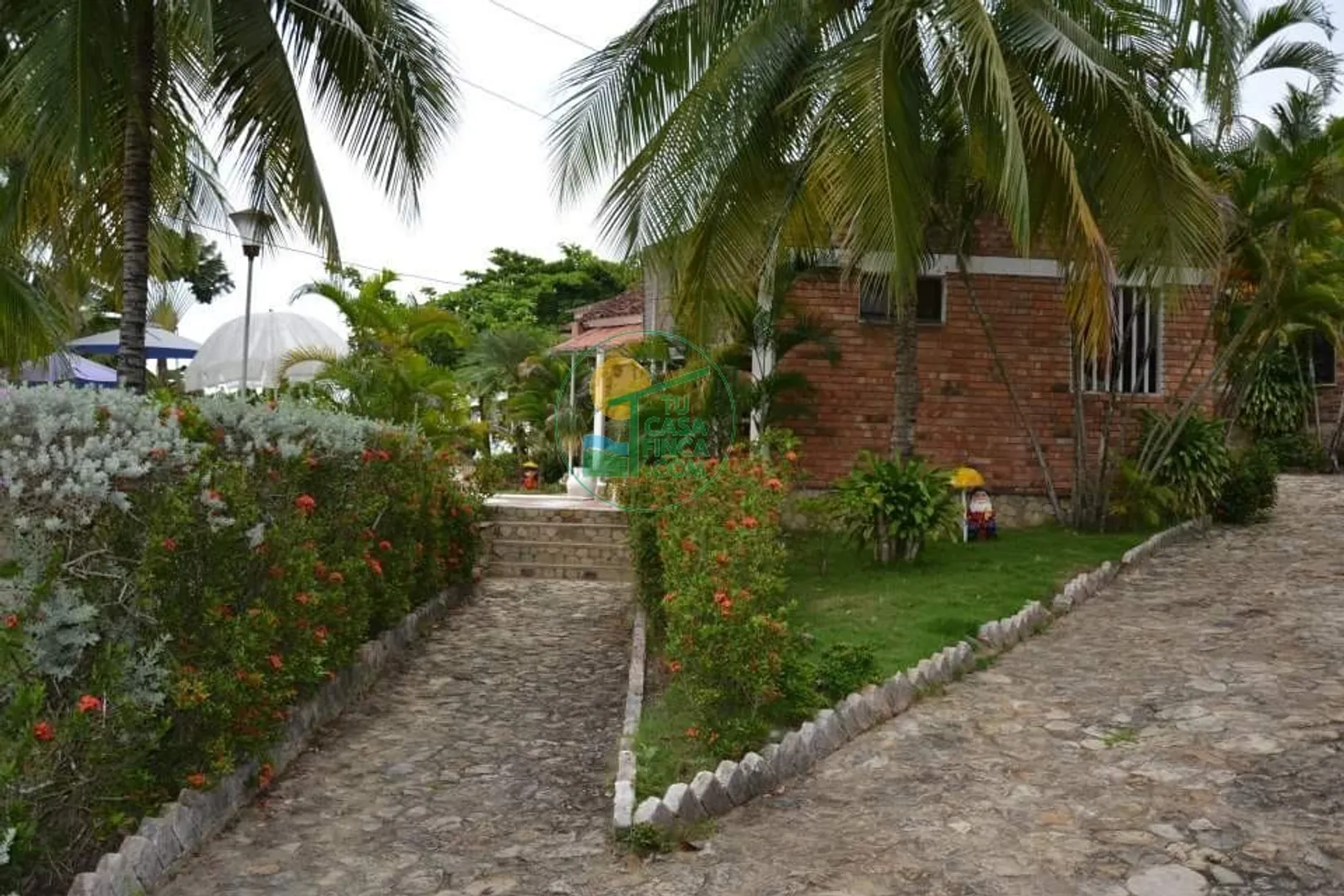 CARMEN  |12|15 PERSONAS