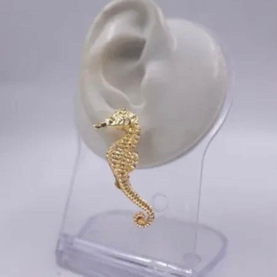 ARETA CABALLITO DE MAR 