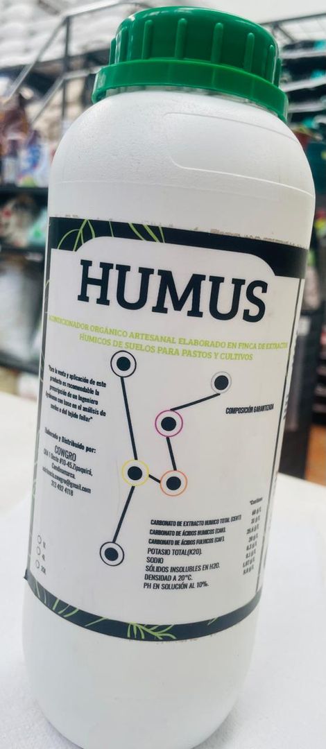 HUMUS