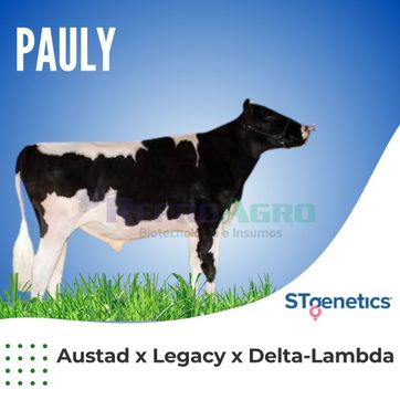 PAULY - imagen 1