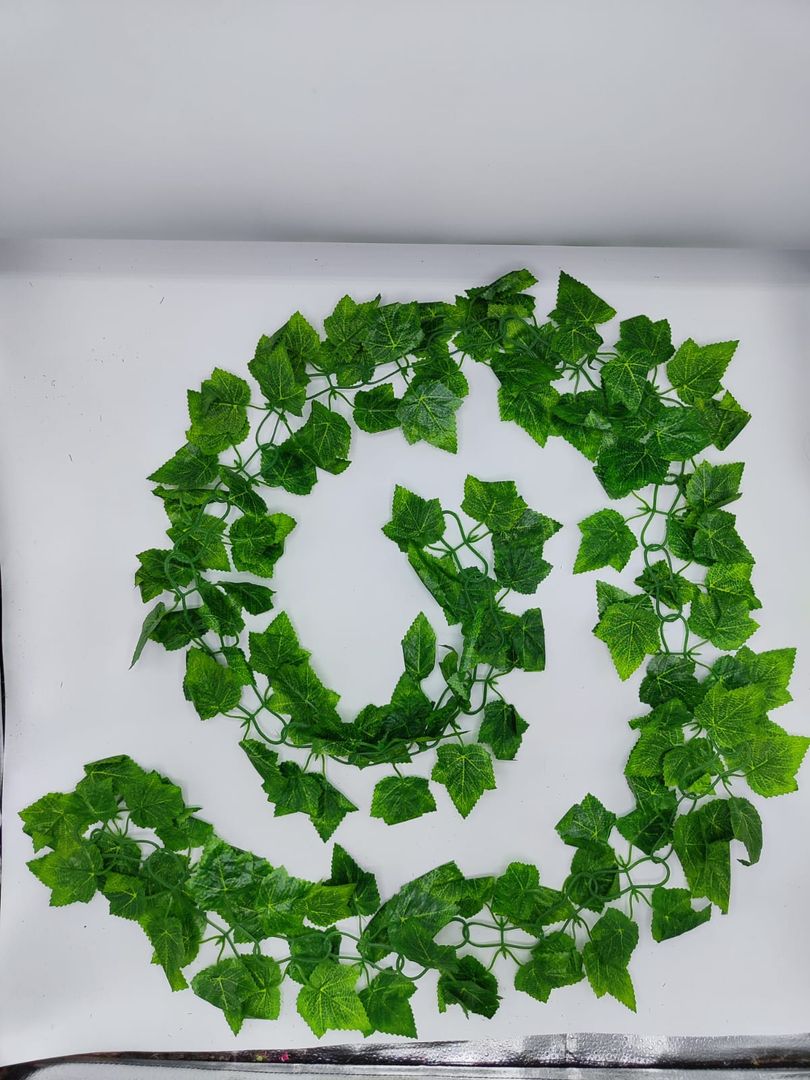 Enredadera de hoja  doble NA 007