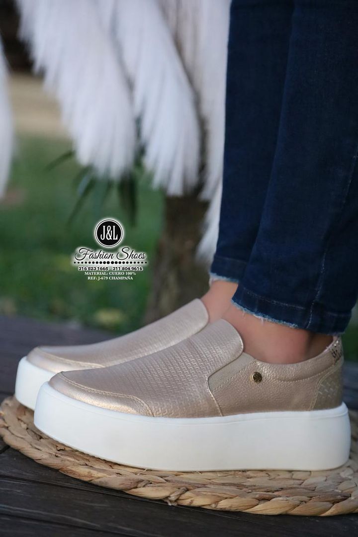 J-679 CHAMPAÑA
