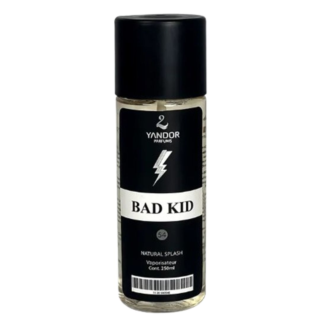 BAD BOY DE CAROLINA HERRERA 250 ML