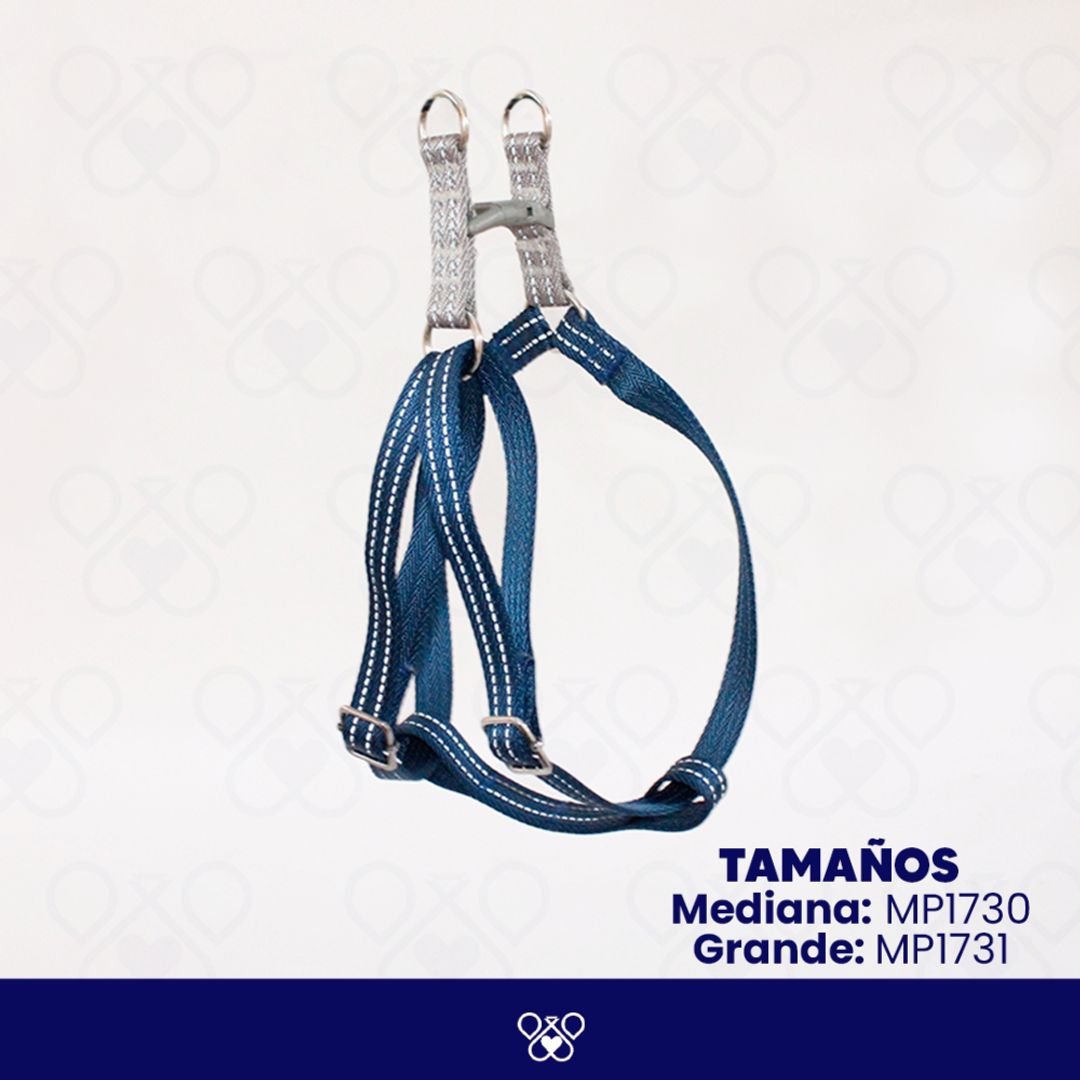 MP173-