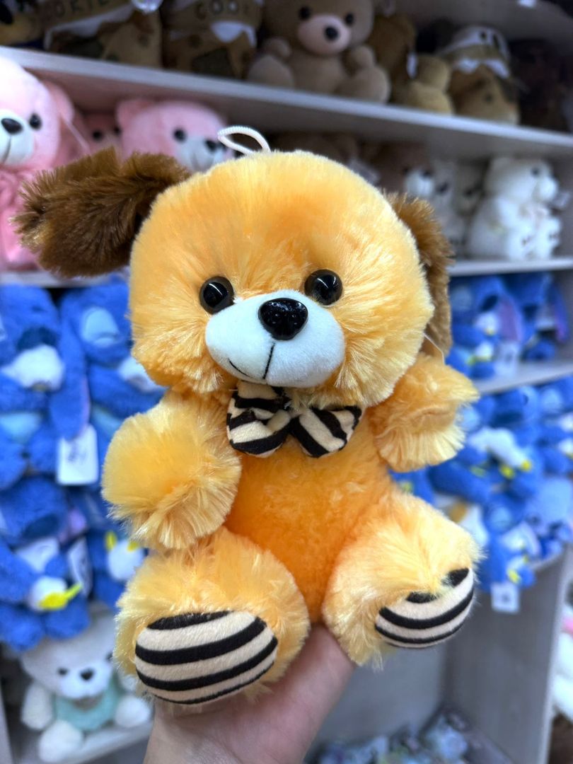 OSO ANCHETERO ANIMALES Y OSOS