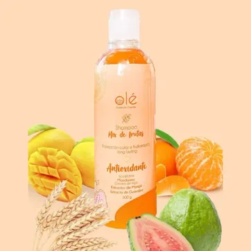 SHAMPOO MIX DE FRUTAS 500 ml - imagen 1
