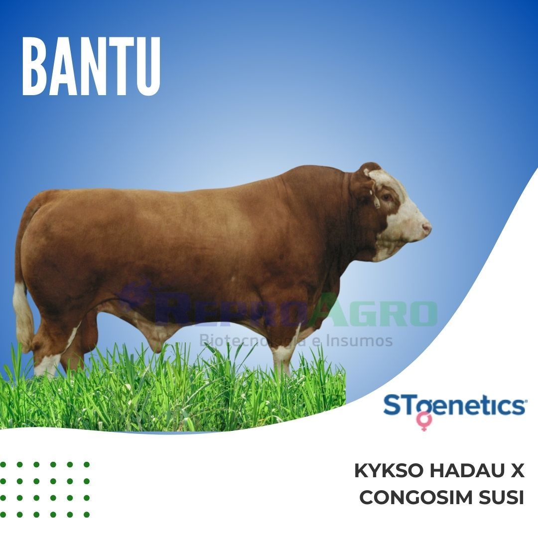 BANTU