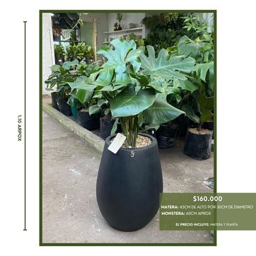 PROMO ELIGE TU FAVORITA - imagen 3