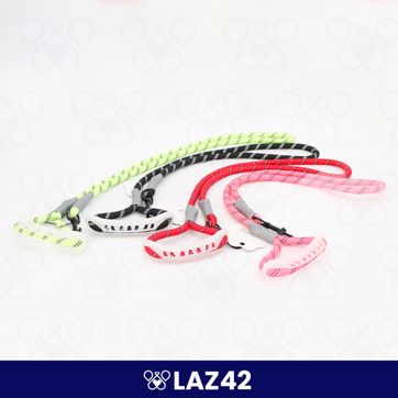 LAZ42 - imagen 1