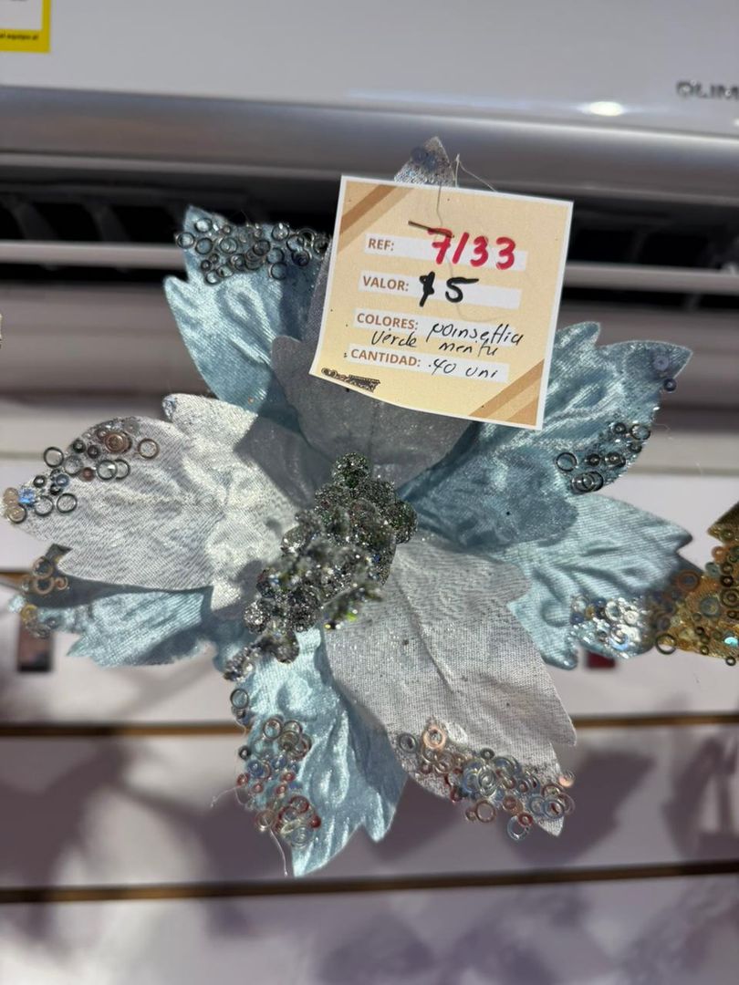 PONSETIA AZUL MENTA