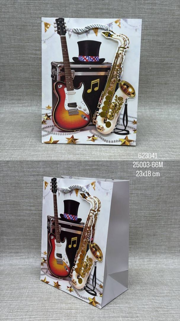 BOLSA DE REGALO SURTIDA INSTRUMENTOS 23x18 CM