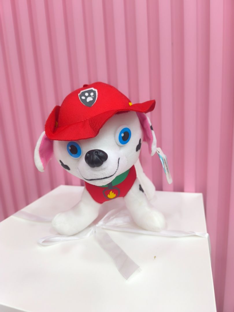 PAW PATROL PERSONAJES 