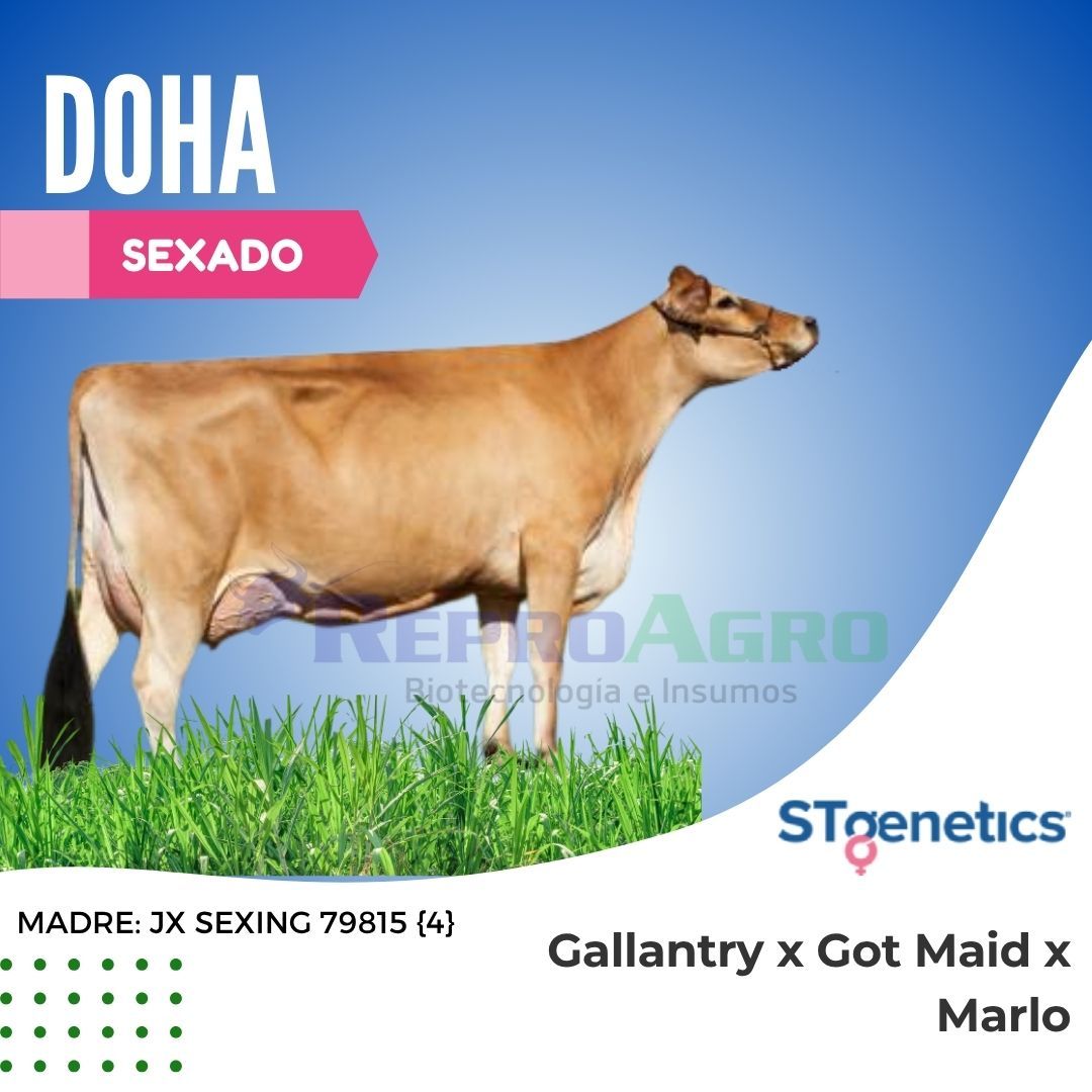 DOHA SEXADO