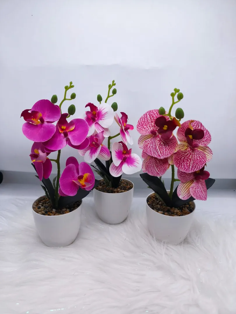 MATERO ORQUIDEA PM547
