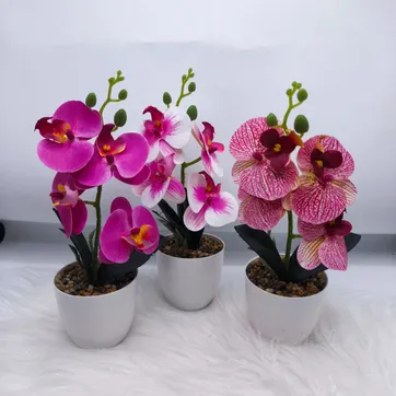 MATERO ORQUIDEA PM547 - imagen 1