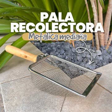 Imagen del producto REC21