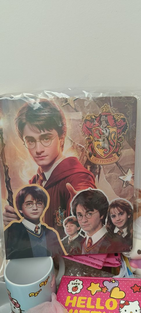 Folder Harry Potter 