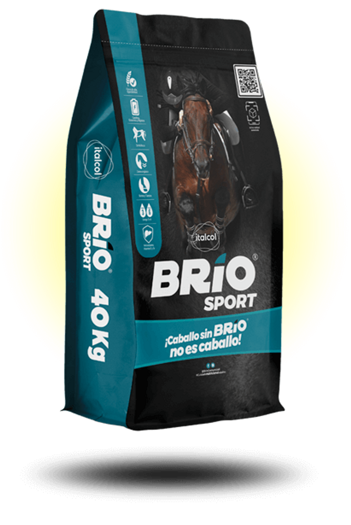 BRIO SPORT x 40 Kilos