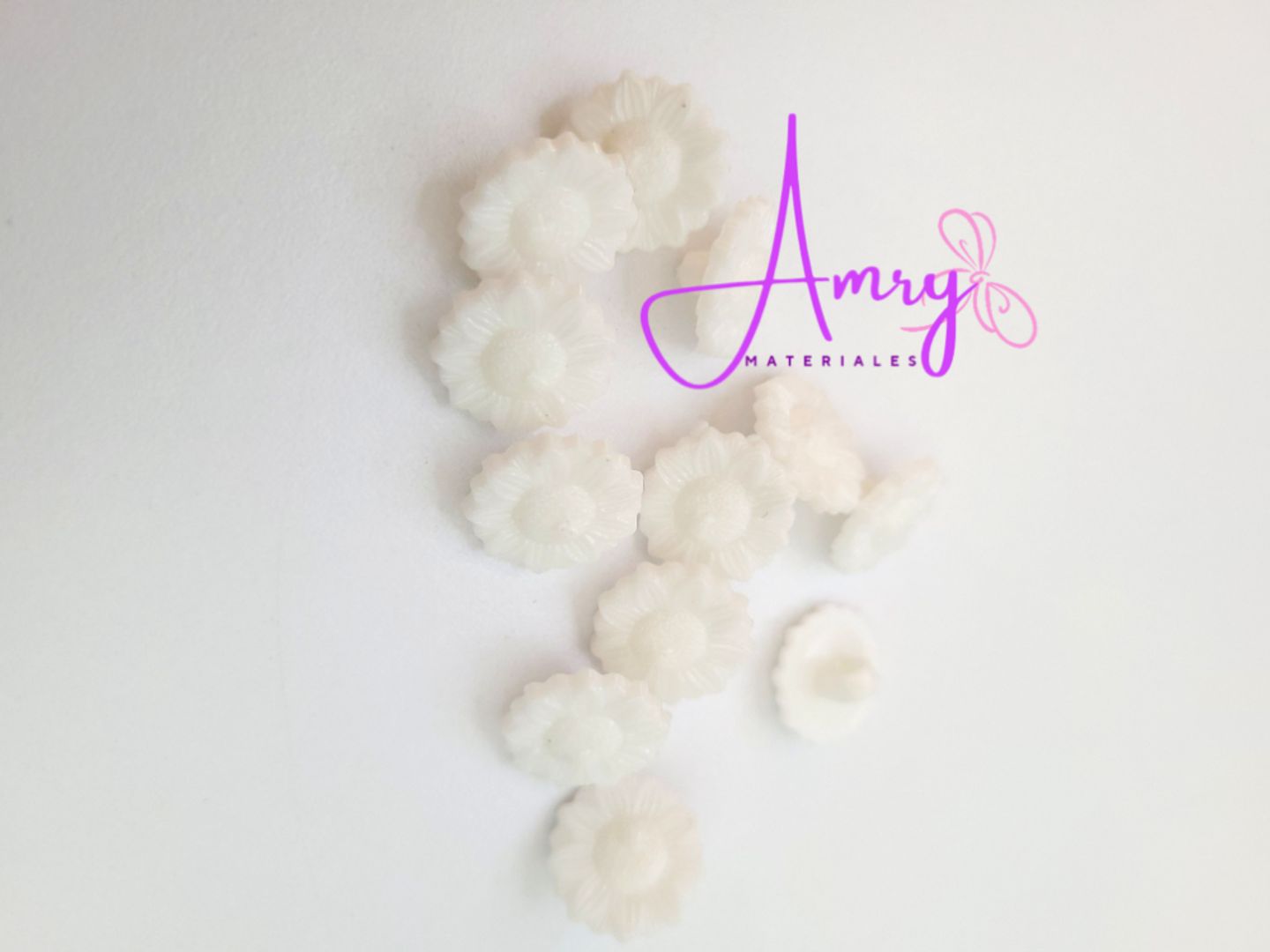 12 Flores Blancas 1.2cm Botón