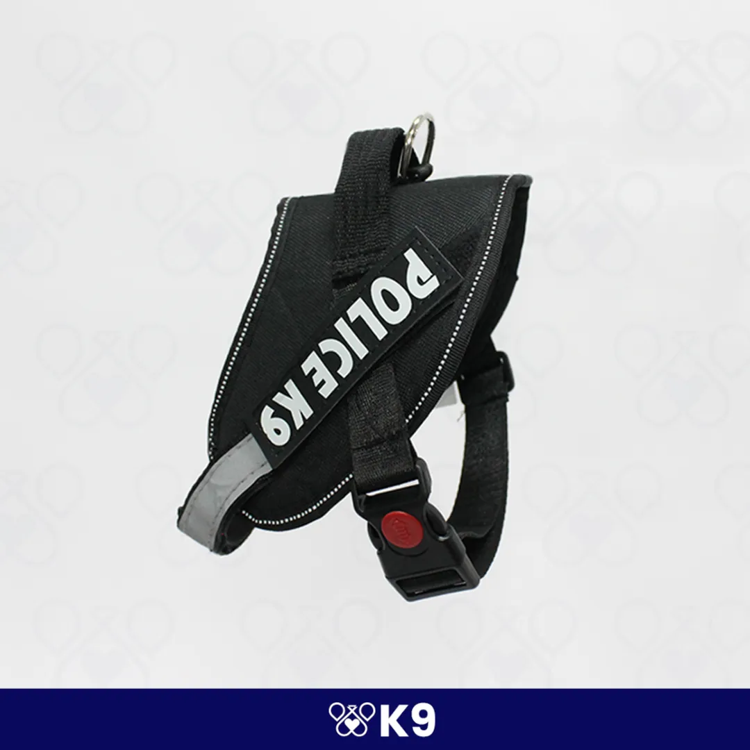 K9-