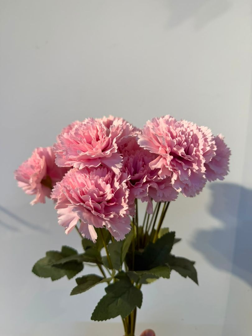 CLAVEL X 18 ROSADO