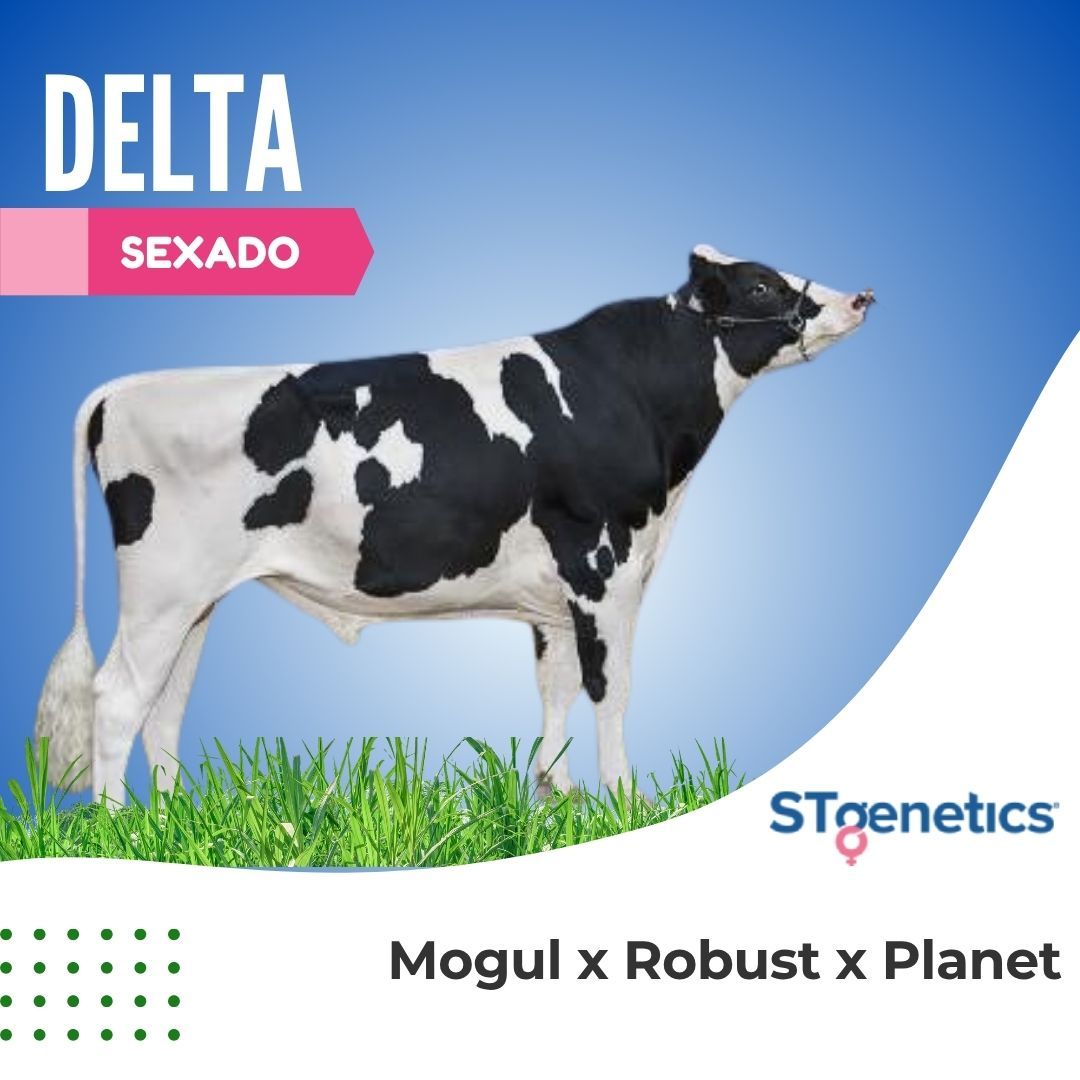 DELTA SEXADO