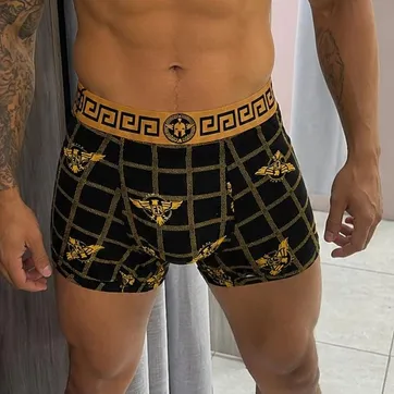 Boxer  - imagen 1