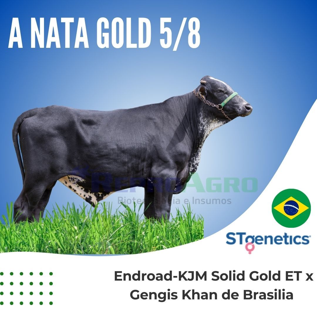 A NATA GOLD